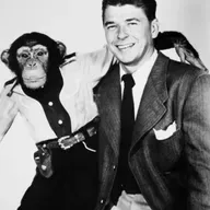 "de Música Sidosa" - Historia Desviada #266