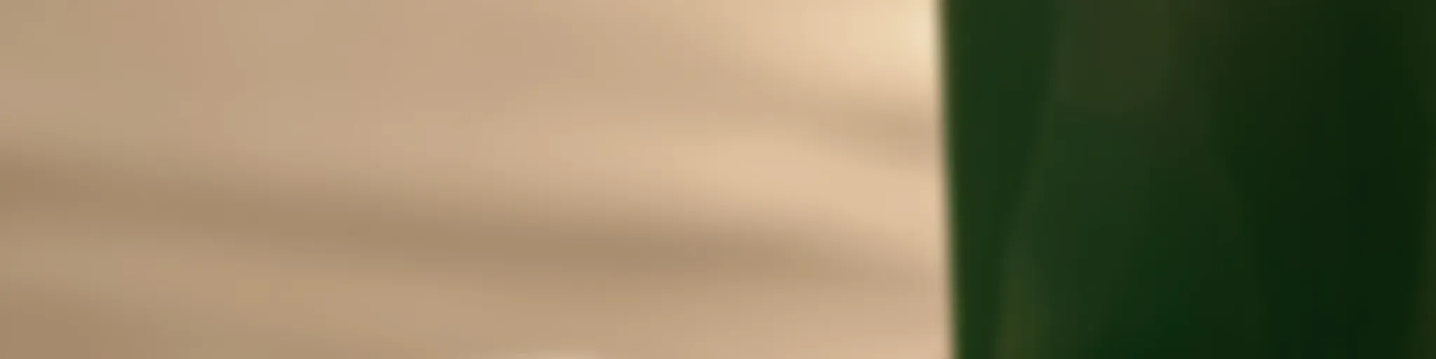 Lectura Biblica Diaria | Obrero Ismael