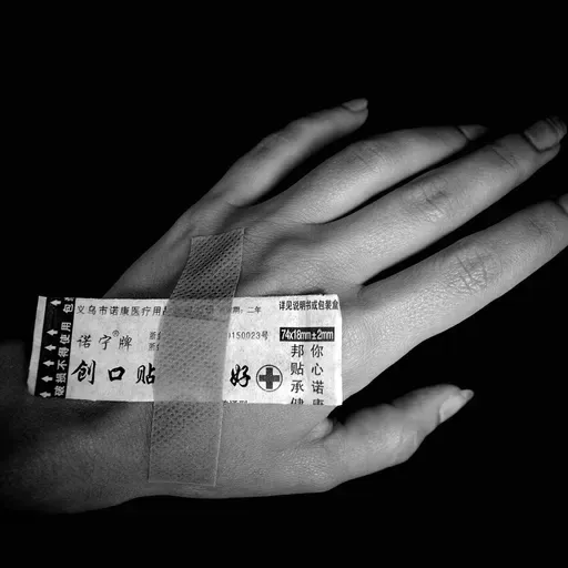 L'assurance santé ne concerne-t-elle que la santé ? : de la coopérative médicale en Chine rurale aux transferts monétaires en Afrique