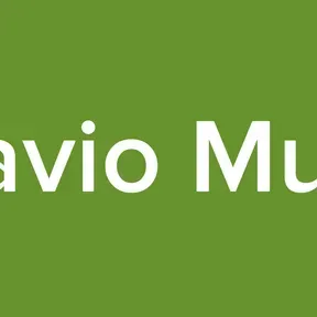 Otavio Music