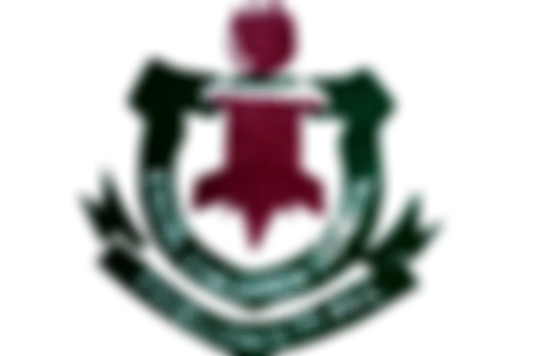 Excel School Podcast