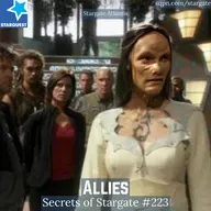 Allies (SGA)