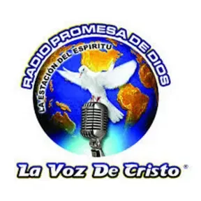 PROMEZA DE DIOS