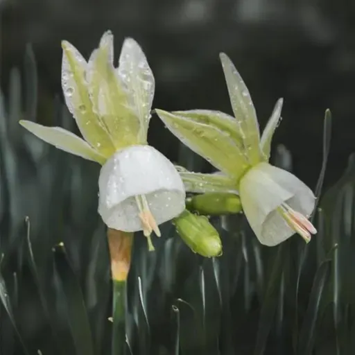 池莉：一生只做一件事