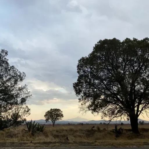 Comprender la Astrología