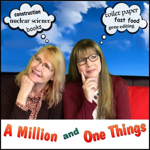 Journaling for Life Part 2 w Cynthia De Boer and Temple Kinyon