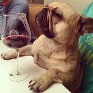 Trucos para pagar menos por vinos TOP de Borgoña