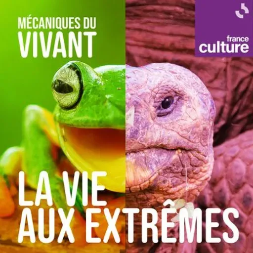 Mécaniques du vivant, saison 7 : La vie aux extrêmes
