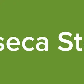 Fonseca Stereo