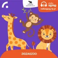 Quem manda no grupo de elefantes?