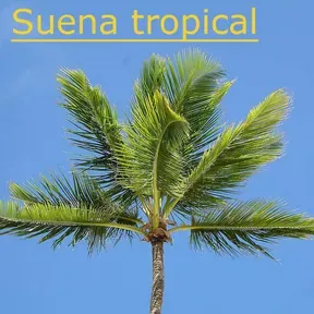 Suena Tropical