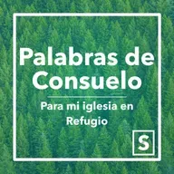 EL EFOD Y SUS HOMBRERAS