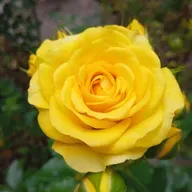 Dios es fiel, Dios me ama! 😍