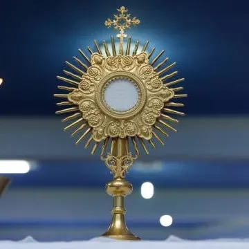 Texto Bíblico: MT 13,44-46