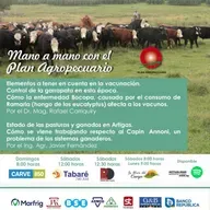 Vacunación. Garrapata. Enfermedad Bocopa. Pasturas y ganados en Artigas. Capin Annoni