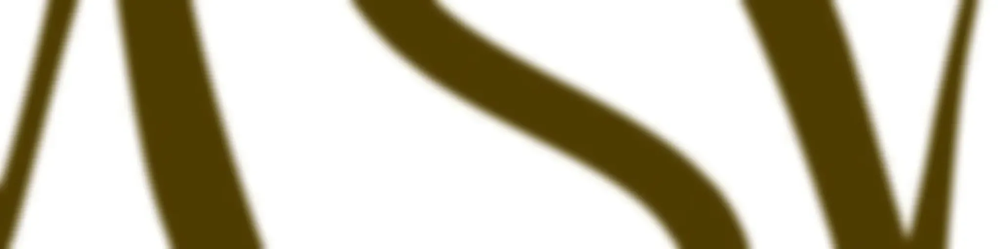 ASV - Aprender Servir y Vivir