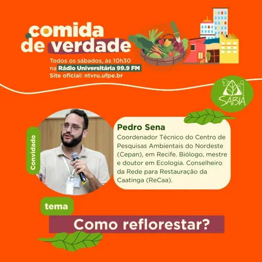 Como reflorestar? - Comida de Verdade