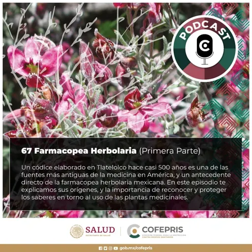 67 Farmacopea Herbolaria: Orígenes (Parte 1)