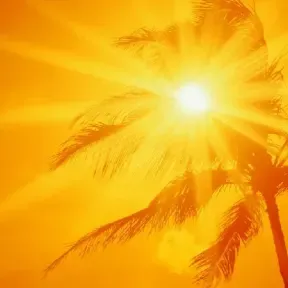 Sol Darknnes