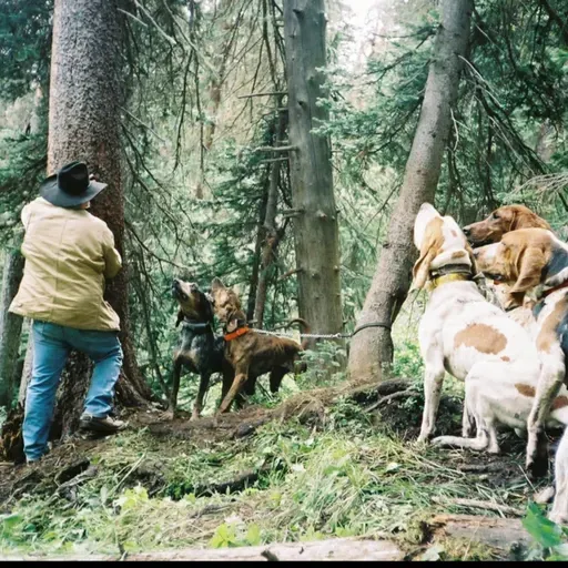 Plott & July Power: Mike Williams on Bears, Cats, and Big Hogs