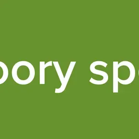 moory sport