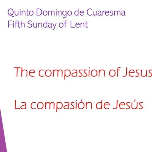 Quinto Domingo de Cuaresma
