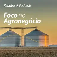 Etanol de milho e o mercado de açúcar