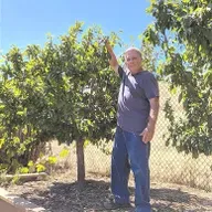 What is Backyard Orchard Culture?