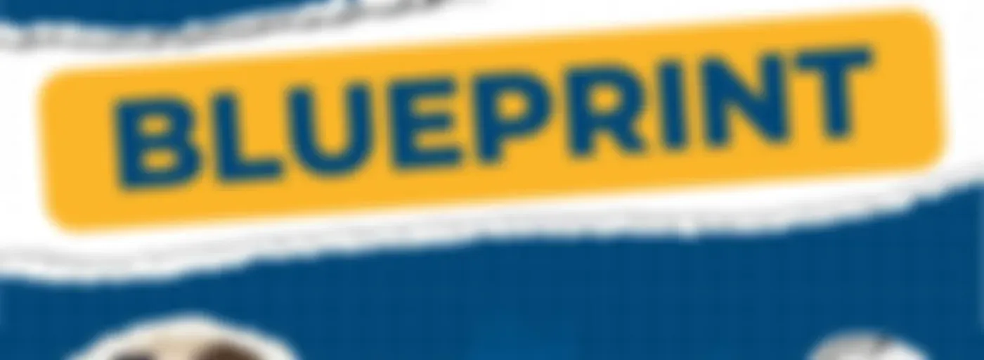 Beyond the Blueprint