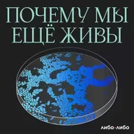 Услышать жизнь: как мы смогли безопасно заглянуть в живот беременных