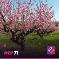 Live Class # 071 - Ikigai - “Os cinco passos para encontrar seu propósito de vida”