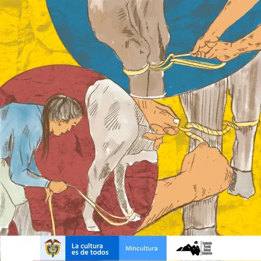 2.51 Fraseología Sumapaceña - Manear