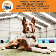 Training Tips From Susan: Mini Q&A With Susan: When To Start Contacts, Build Foundations, And Stop Zoomies In Dog Agility