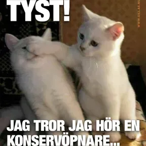 Kämt och sido