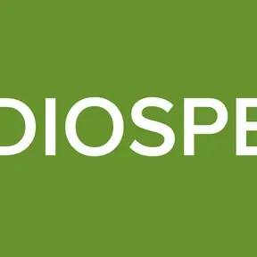 RADIOSPEED