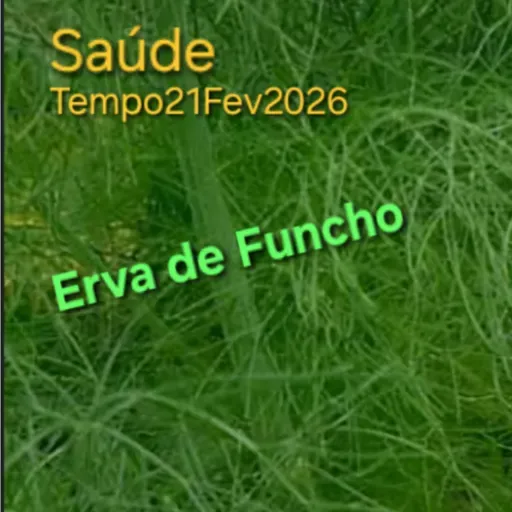 Erva de Funcho