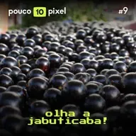 10 Anos #9: Olha a jabuticaba!
