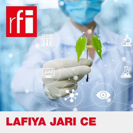 Yadda Cholera ta kashe mutane kusan dubu 5 a sassan Najeriya cikin shekaru 5