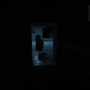 dooooooooogi