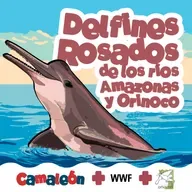 Delfín rosado: el delfín que cambia de color