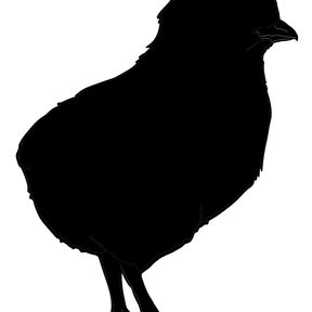 Radio ALASKA