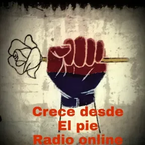 CRECE DESDE EL PIE RADIO ONLINE