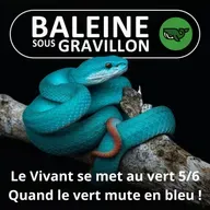 S07E77 Allez les Verts ! 5/6 : Bleu = vert − jaune