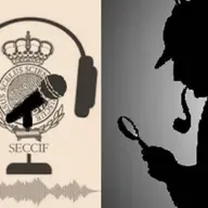 Detectives Privados