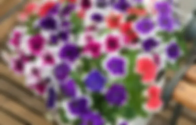 Travis's Nightly Meditations