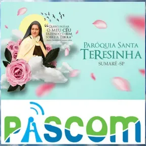 P1 Radio Web