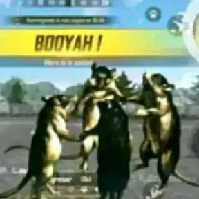 sopedrada2