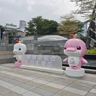 Greater Bay Area lights up National Games