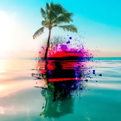 Capítulo 74: Oasis de Locura (Capítulos Finales)