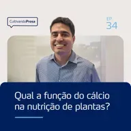 Qual é a função do cálcio na nutrição de plantas? | Cultivando Prosa EP.34